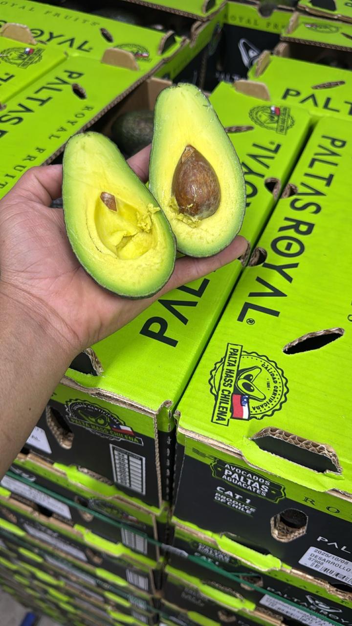 Palta chilena